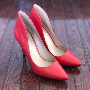 NIB Enzo Angolini Fayson 8